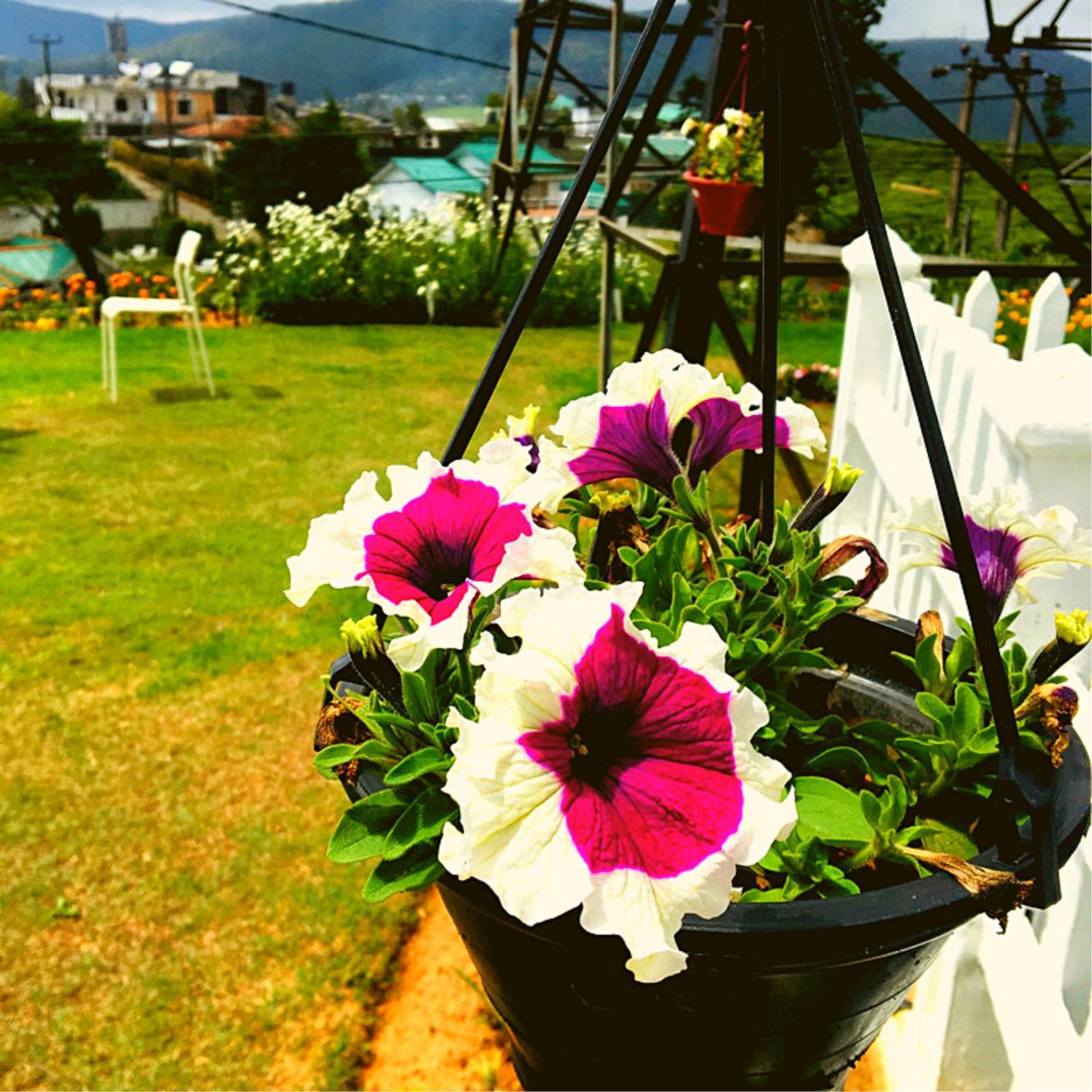 Thuring'S Holiday Bungalow Nuwara Eliya Buitenkant foto