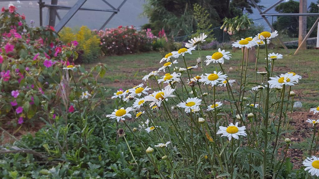 Thuring'S Holiday Bungalow Nuwara Eliya Buitenkant foto